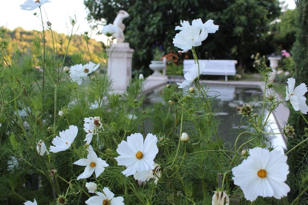 Chateau Du Grand Jardin Valensole Εξωτερικό φωτογραφία