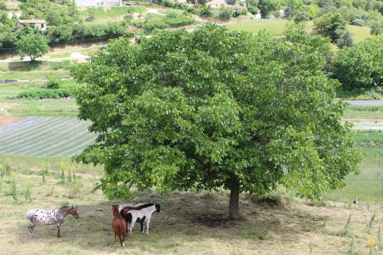 Chateau Du Grand Jardin Valensole Εξωτερικό φωτογραφία